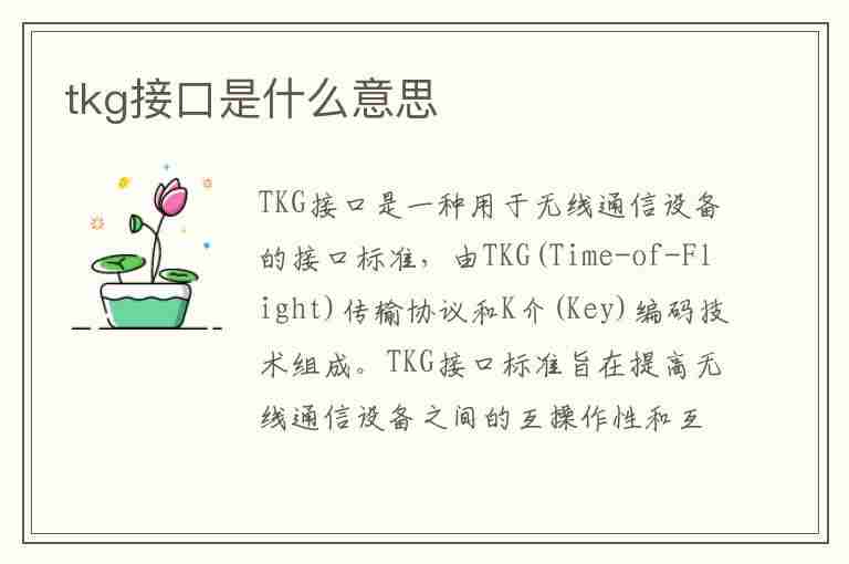 tkg接口是什么意思(tkg接口能接什么)